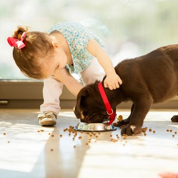 Our cleaning team understands that pets are part of the family, so we'll clean up after them as well