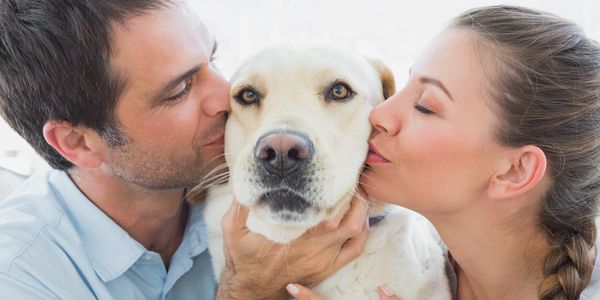 man and woman couple kissing their white dog
