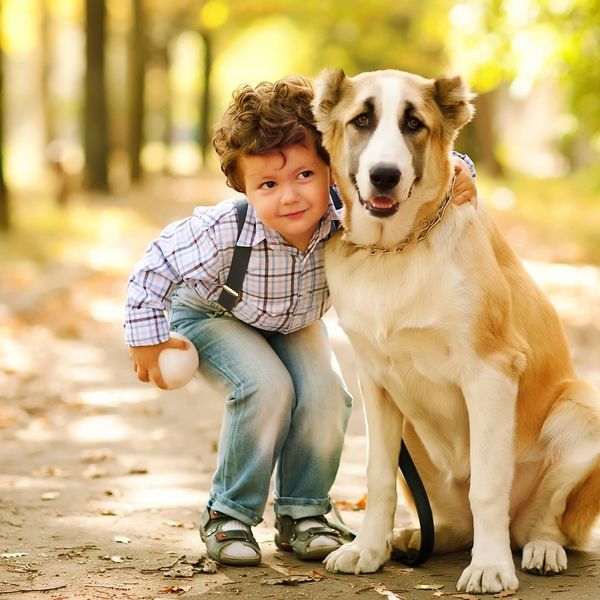 Young boy hugging his large dog outdoors on a sunny day.