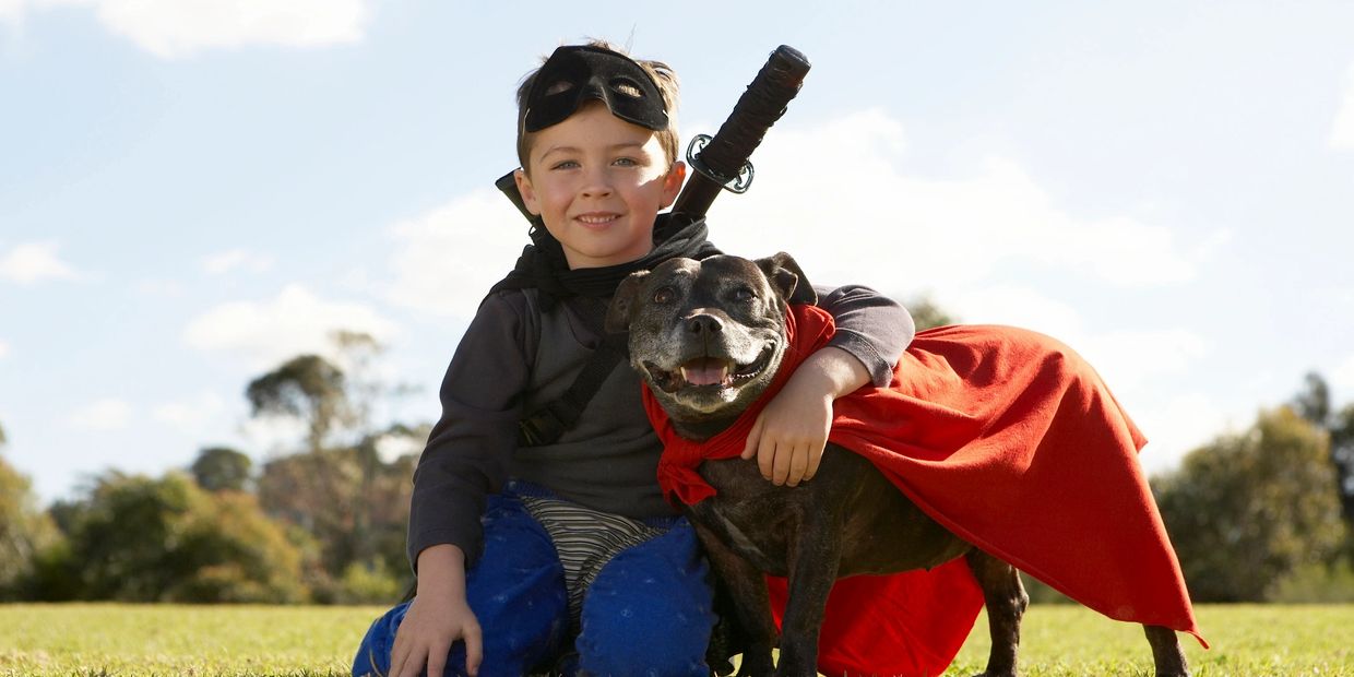 A small boy with this pet dog who is wearing a red superman cape.