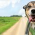 Dog in a car with its head out of the window, tongue out