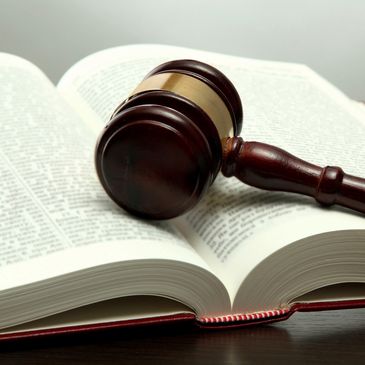 A wooden gavel resting on an open law book.