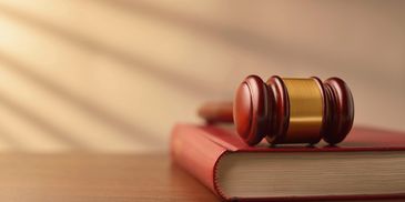 Photo of gavel and book on table. 