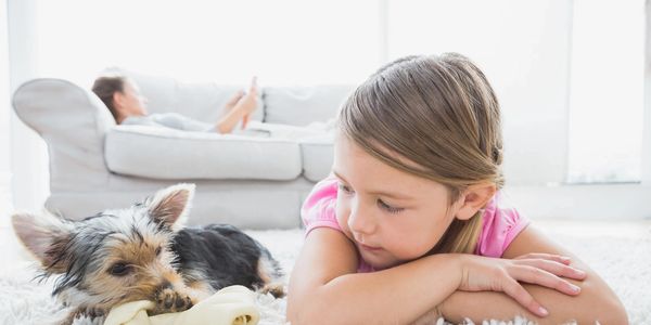 Family and pet friendly carpet cleaning