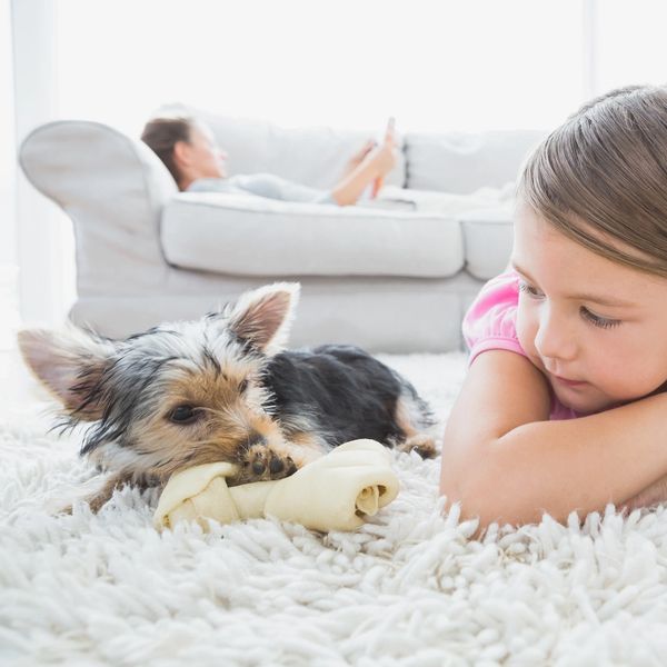 A girl watches a dog chewing a bone on a fluffy carpet.