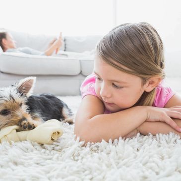 Our Carpet cleaning solutions are Pet Friendly and Non Toxic