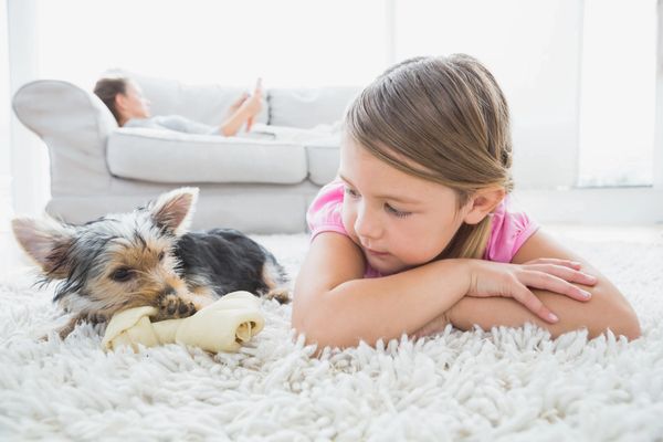 A girl lying on the carpet watching her dog chew a bone.