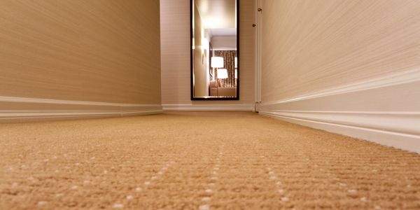 Hotel carpet cleaning