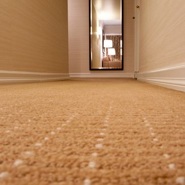 Professional carpet cleaning in Chandler. We restore hallways and high-traffic areas to like-new.