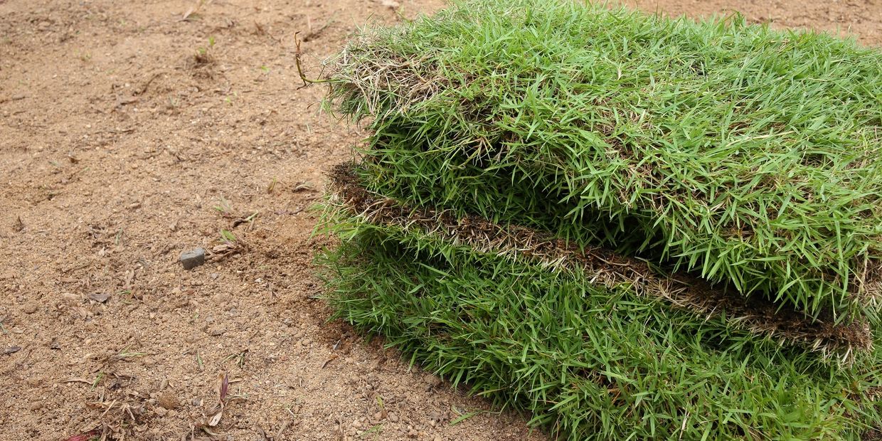 Two stacked rolls of fresh green turf on bare soil.