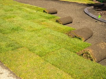 Sod installation