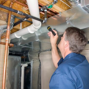 Knowledgeable Home Inspector Experts