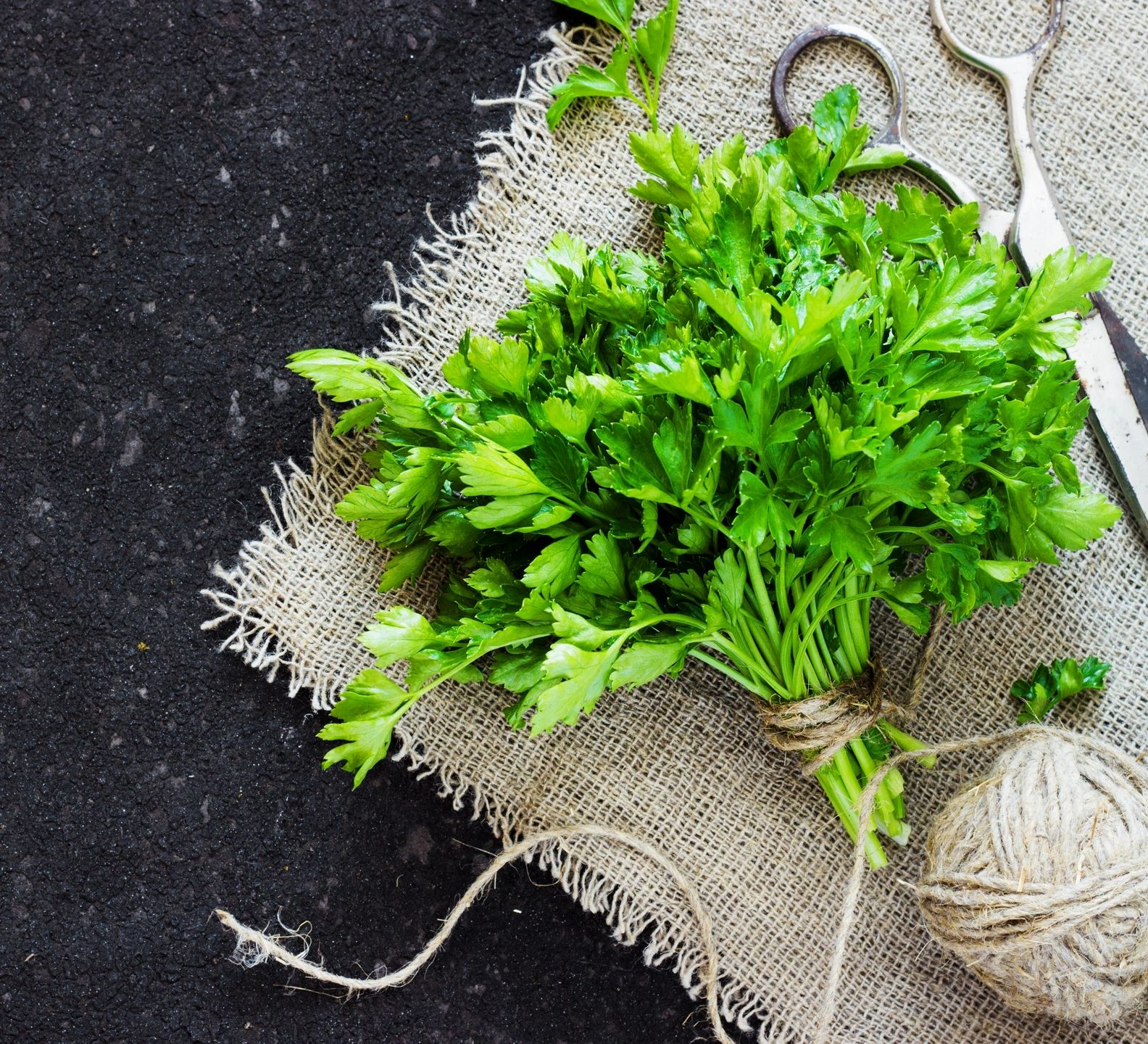 SOUP TO BONES Health Food Store, Bone Broth, Soup Restaurant, Soup