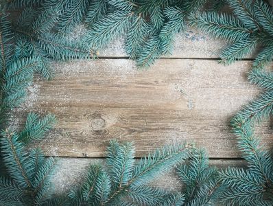 Best Christmas Trees in Dublin