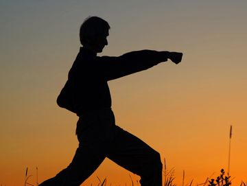 A silhouette of a person practicing a martial arts form in a field at sunrise.