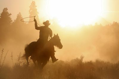 Cowboy roping in the sunset