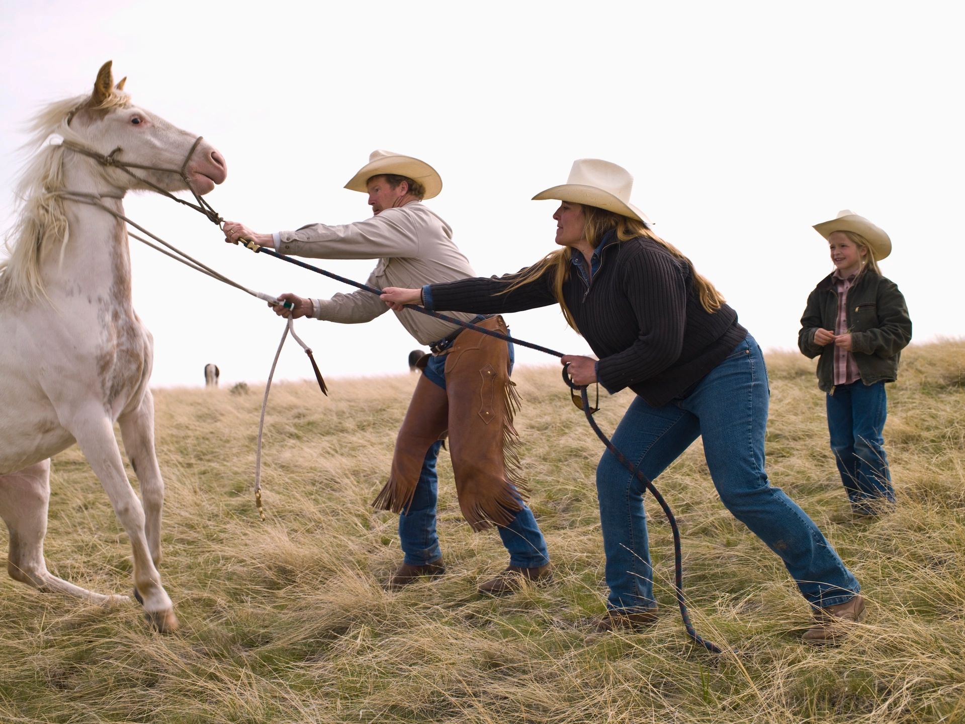Revenue Consultation - Allright Ranch