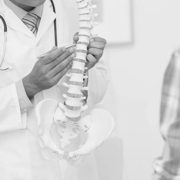 Doctor explaining spine anatomy using a model to a patient.