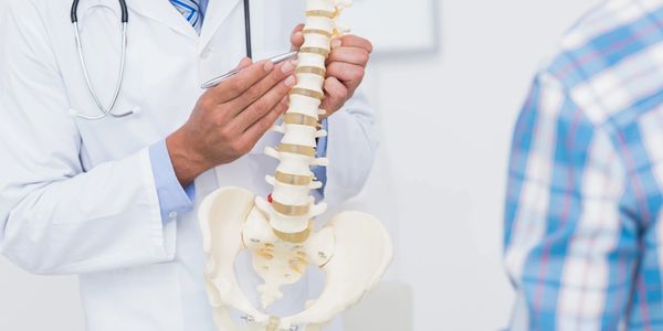 Doctor explaining spine structure to patient
