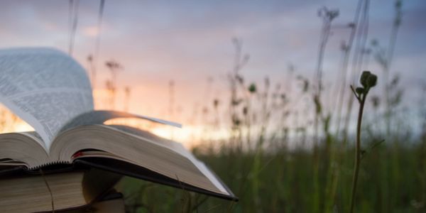 Book open with a field in the background