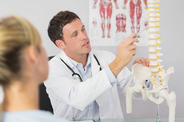 Patient learning about the spine from their chiropractor.