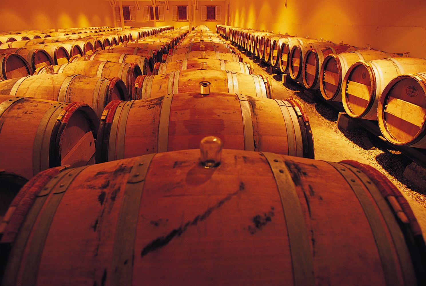 Rows of wooden barrels in a dimly lit cellar.