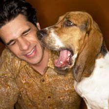 You need a Dental Chew.... Phew