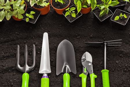 Commercial Gardening Services