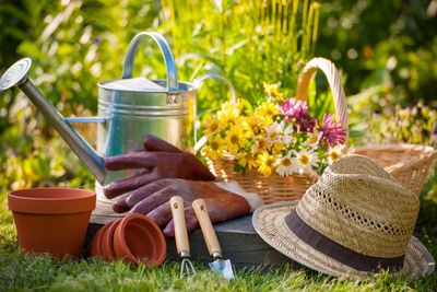 Garden supplies. Gardeners gloves and hat on a lawn. A Watering can, plant pots and wicker basket.