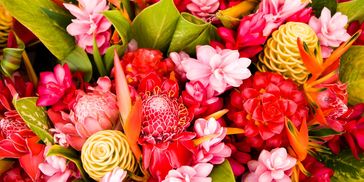 A vibrant mix of tropical flowers in red, pink, and yellow hues with lush green leaves.
