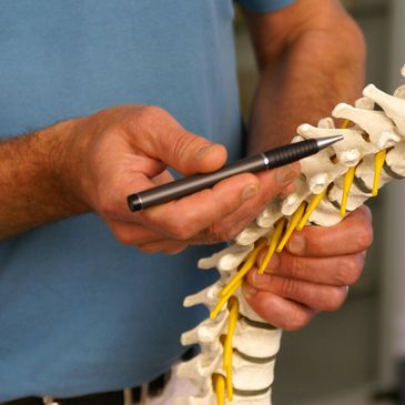 The intricate structure of the spine and connecting nerves, ligaments and spinal cord are important.