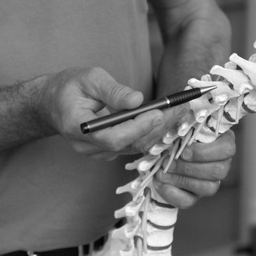 spinal disc injuries explained 