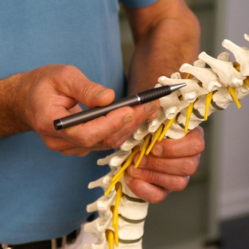 A man holds a pen to show something on a model of a spine