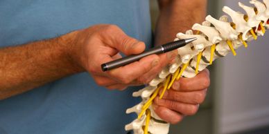 Chiropractic, spine, non-invasive treatment of the neuromuscular systems.