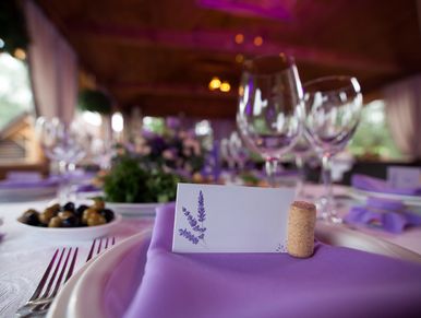 napkins in purple color for rent 