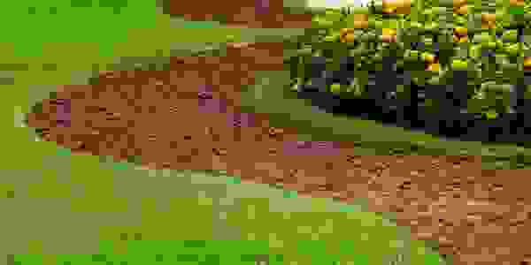 Empresa de Jardinería en Madrid, cesped artificial, tepe, decoración de exteriores en madrid 