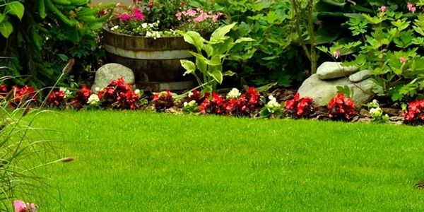 Grass and flower beds 