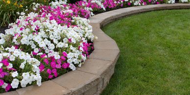 Annual flowers in bed next to grass divided by short brick wall