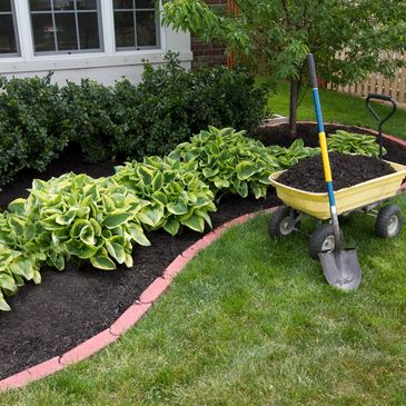 Freshly installed landscape bed with plantings