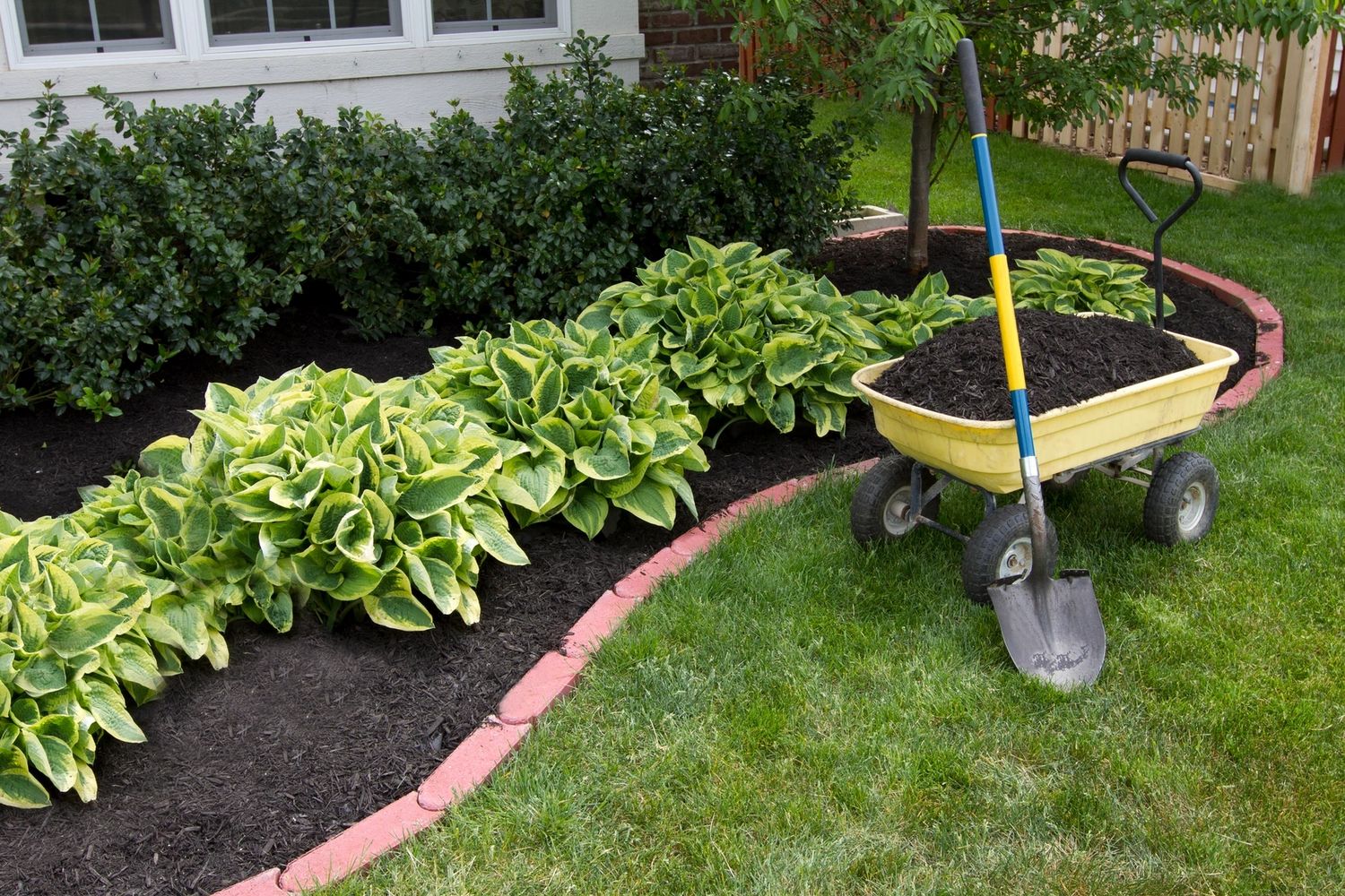 We provide professional lawn care services to keep your property clean, healthy and well-maintained.