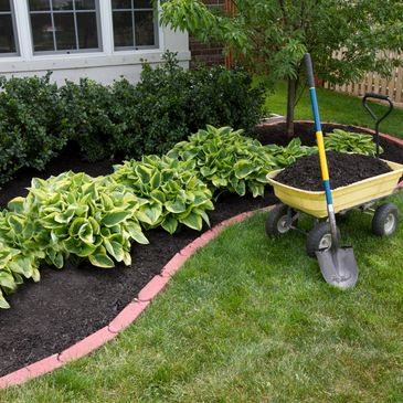 A GARDEN WITH GREEN PLANTS AND A WHEEL BARROW FILLED WITH DIRT AND A SHOVEL IS NEXT TO IT