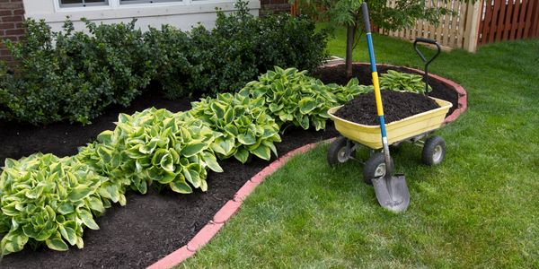 Landscaping scene with wheelbarrow, shovel, plants, flower bed, shrubs and fence.