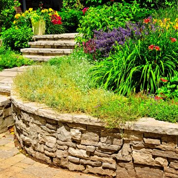 Flagstone retaining wall and steps with paver walkway. Plant installation 