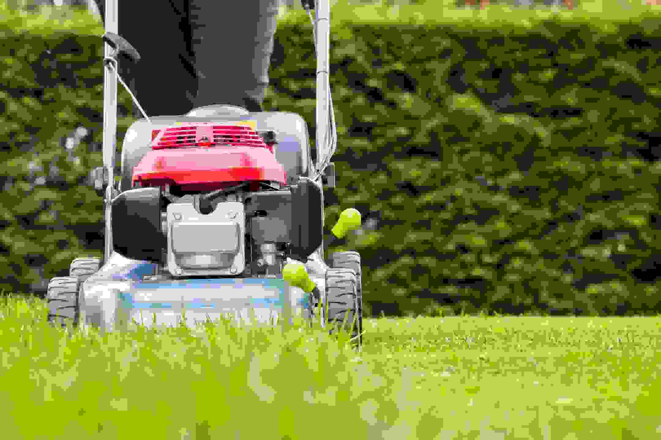 Lawn Care Burleson Texas Lawn Cuttin