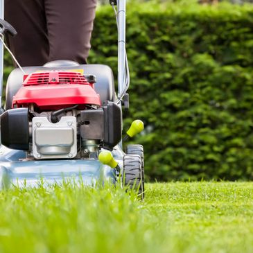 Mowing, cutting, lawn care