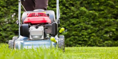 lawn mower cutting grass