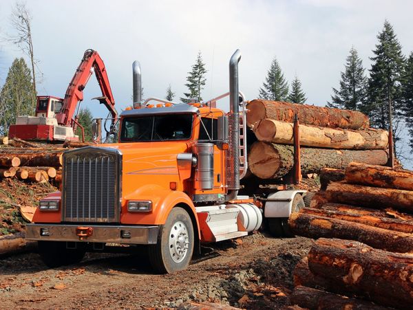 Logging Services