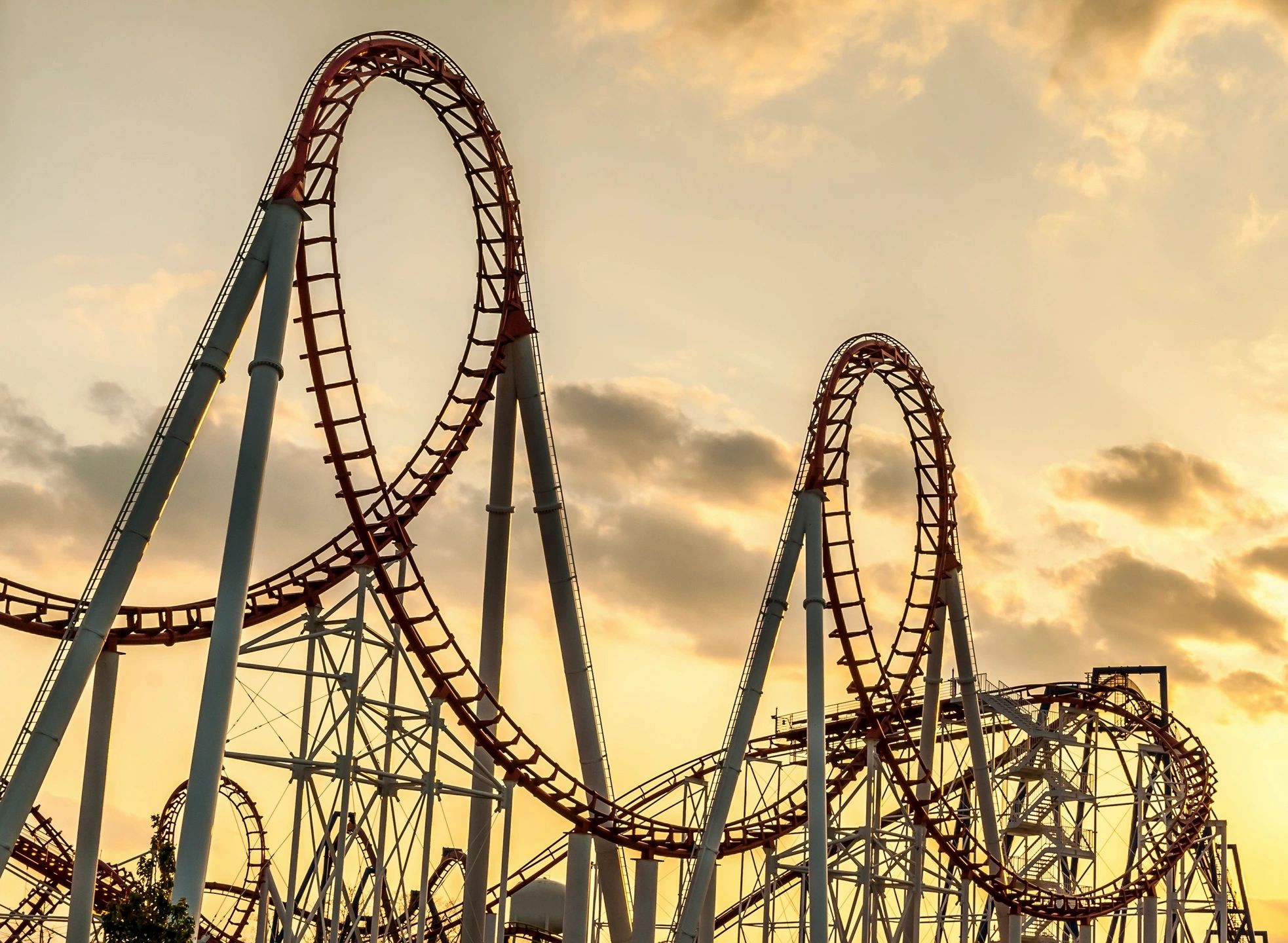 Riding the Roller Coaster of Perimenopause