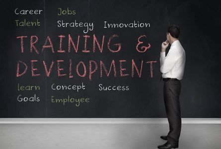 Training and Development for your employees