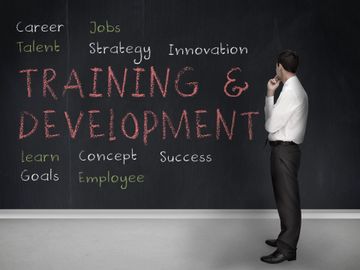 Offering various training and development programs for businesses